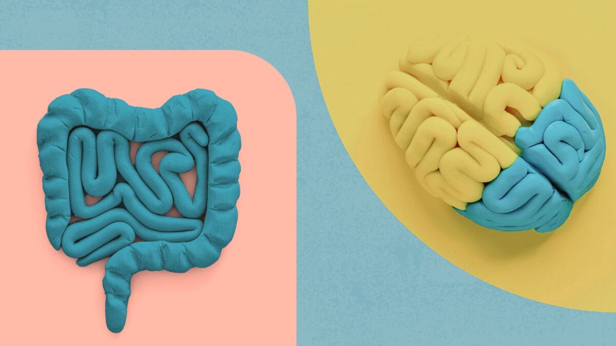 Role of Nutrition in Increasing Gut-Brain Connection